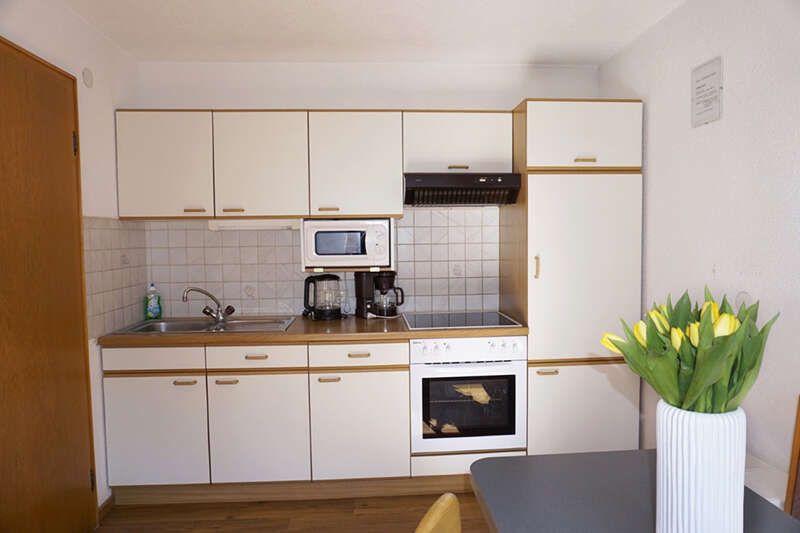Apartment 2 kitchen Haus Sonnberg Kappl Tyrol